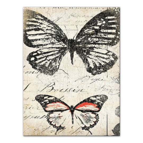Double Butterfly 12" x 16" Canvas Wall Art